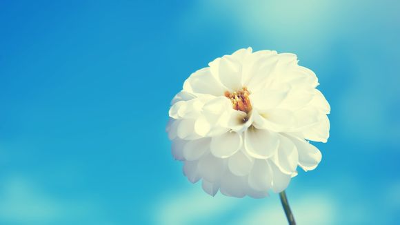 linux如何找回丢失的密码