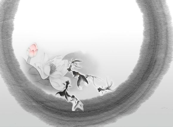 动物为什么能进化