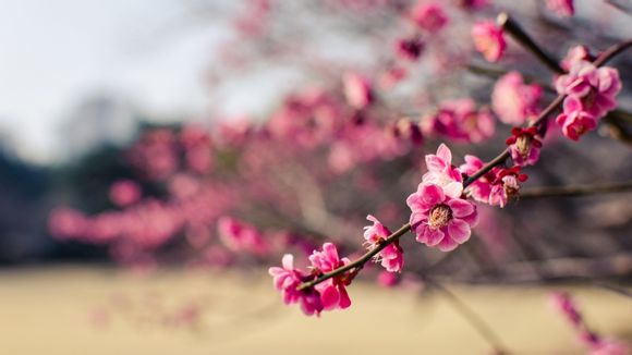 htc手机怎么关闭后台