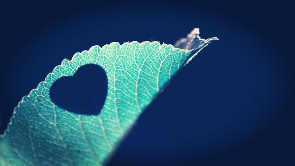 交换机端口怎么关闭