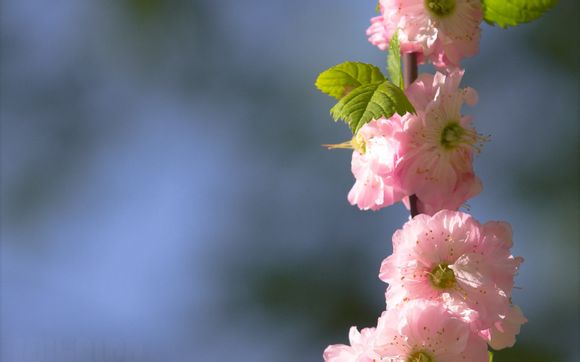 以旧换新怎么算