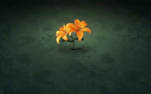 亚马逊如何解绑银行卡