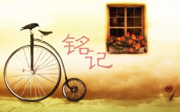 为什么win8装不了